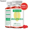 Urolithin A (120 Kapseln) Nahrungsergänzungsmittel, Produktbild-Vorschau 11