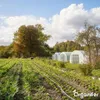 Hnojivo na bázi síranu amonného (20 kg – pro 400 m²) - Náhled obrázku produktu 11