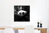 MuchoWow® Poster Tiere - Dschungel - Panda - Schwarz - Weiß Produktbild-Vorschau 5