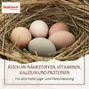 Supravit Legemehl für Hühner mit Oregano 25kg | GVO - Produktbild-Vorschau 4