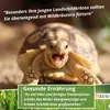 100g Schildkröten Samenmischung für Pflanzen inkl. Aussaat Produktbild-Vorschau 5