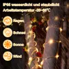 Peviasot 10m LED Lichtschlauch  Innen,LED Produktbild-Vorschau 5