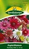 Papierblume, Mischung Produktbild-Vorschau 3
