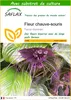 SAFLAX  - Fleur chauve-souris - 10 graines - Avec substrat Voir les images du produit 1