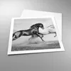 Poster - Poster ohne Rahmen - Pferde Tiere Galopp Wiese - Produktbild-Vorschau 3