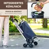 A person is pushing a shopping trolley with an integrated cooler bag, with text overlays highlighting its features. Anteprima dell’immagine prodotto