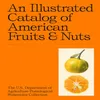 An Illustrated Catalog of American Fruits & Nuts Produktbild-Vorschau 2