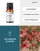 Manuka (10ml) - naturalny, eteryczny olejek eteryczny Podgląd zdjęcia produktu 2