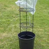 Prosperplast Tomatoes 29.5x29.5x 31.5-153 Cm Blumentopf Produktbild-Vorschau 37