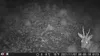Outdoor Wildlife Hunting Trail und Wildkamera OXE Gepard Produktbild-Vorschau 26