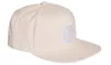 Adidas Dfb Sb Cap Icepnk/Icepnk/White - Voir les images du produit 1
