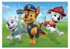 Clementoni puzzle 2x20 SuperKolor Paw Patrol 24800 Voir les images du produit 5