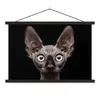 MuchoWow® Textilposter Katze - Haustiere - Porträt - Produktbild-Vorschau 1