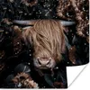 MuchoWow® Poster Schottische Hochlandrind - Kühe - Blumen - Produktbild-Vorschau 1