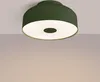 A green ceiling light fixture is shown against a light gray and white background. Produktbild-Vorschau