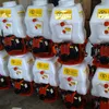 20L Benzin Motorsprüher Motorspritze Düngerspritze Produktbild-Vorschau 7