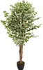 hjh OFFICE Umělá rostlina FICUS Umělá rostlina břízy Výška Náhled obrázku produktu 7
