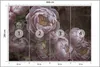 Muralo Selbstklebende Fototapete BLUMEN Pfingstrosen Produktbild-Vorschau 2