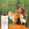 Weenect GPS Tracker XS Hund Schwarz Produktbild-Vorschau 10