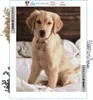 ARTULIO Diamond Painting Eigenes Foto - 30x40cm  5D Diamant Produktbild-Vorschau 2