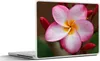 MuchoWow® Laptop Aufkleber Sticker Cover Nahaufnahme einer Produktbild-Vorschau 1
