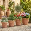 Teramico "Festonato" Terracotta Topf Frostfest 35 cm Produktbild-Vorschau 1