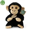 Peluche Scimpanzé 18 Cm Ecologico Anteprima dell’immagine prodotto 8
