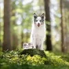 Nourriture humide VETEXPERT Puppy Monoprotein boeuf et veau Voir les images du produit 3