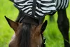 HKM Fliegendecke mit Halsteil und Bauchlatz - zebra Produktbild-Vorschau 11