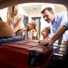 Relaxdays 10044637, 1 szt. Podgląd zdjęcia produktu 3