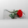 Bilder auf glas - Blume Holz Pflanze - 120x50cm - Produktbild-Vorschau 4