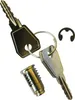 A set of keys, a lock cylinder, and a clip on a white background. Anteprima dell’immagine prodotto