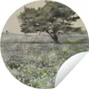 MuchoWow® Produktbild-Vorschau 1