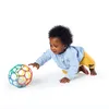 OBALL Toy Oball™ Roller, turquoise 6m+ Voir les images du produit 9