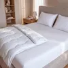 SCANquilt polštář CLASSIC PLUS 65% polyester 35% bavlna 50 Náhled obrázku produktu 6