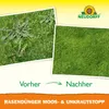 Neudorff RasenDünger Moos- & UnkrautStopp 5 kg für 100 m² – Produktbild-Vorschau 5