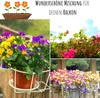 2x Saatteppich Blumensamen Balkonkasten Mischung - Produktbild-Vorschau 3