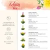 ErblühTee-Geschenkbox im modernen Blumendesign - Produktbild-Vorschau 4