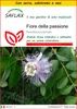SAFLAX Insieme di coltivazione - Fiore della passione - 5 Anteprima dell’immagine prodotto 1