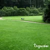 Eisensulfatdünger - Moosentferner - 5kg - für 250m2- Produktbild-Vorschau 3