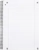 Oxford Touch, Różne kolory, 80 ark., Papier w linię, A4+, Podgląd zdjęcia produktu 3
