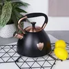 A black kettle with copper accents sits on a black wire rack, next to two lemons. A potted plant is in the background. Náhled obrázku produktu