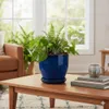 Pot de fleurs en céramique modèle « EggPot » 22 cm en bleu Voir les images du produit 6