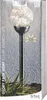 Best Season Solar Beleuchtung Glory, 12x4,5x12 cm Produktbild-Vorschau 7