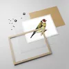 Gerahmtes Poster - Rahmen in heller Eiche - Stieglitz Vogel Produktbild-Vorschau 4