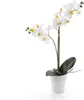 artplants.de Künstliche Orchidee Phalaenopsis Candida, 2 Produktbild-Vorschau 1