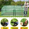 A woman is standing next to a greenhouse, and three smaller images show planting flowers, vegetables, and strawberries. Produktbild-Vorschau