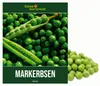 Markerbsen Bördi Samen - Pisum sativum - Erbsensamen - Produktbild-Vorschau 1