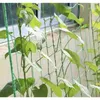 Filet - tuteur pour plantes 2x10m Gardlov 23978 Voir les images du produit 3