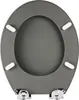A top-down view of a gray toilet seat with white bumpers and silver hinges. Produktbild-Vorschau